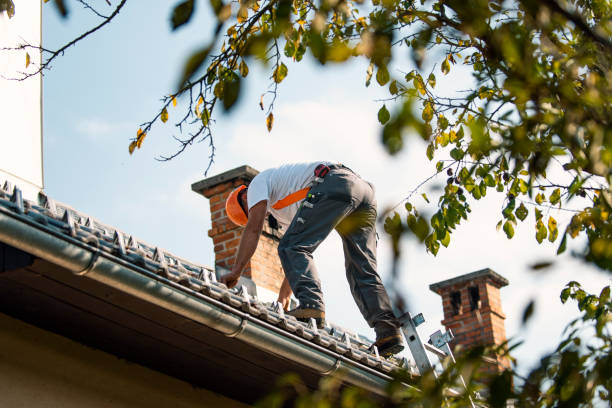Best Slate Roofing Contractor  in Meadow Glade, WA