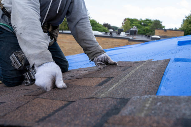 Best Commercial Roofing Services  in Meadow Glade, WA
