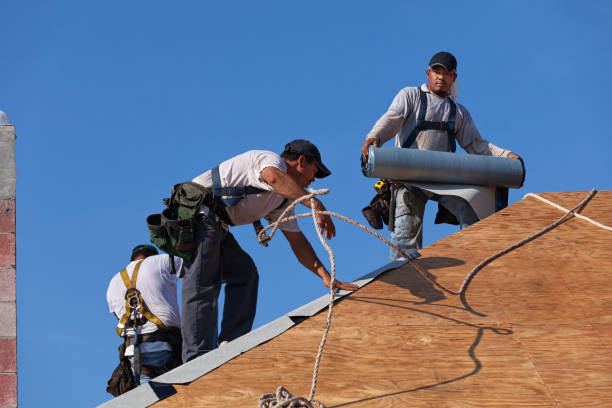 Best Roof Maintenance Services  in Meadow Glade, WA