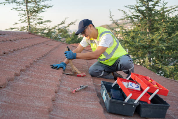 Best Tile Roofing Contractor  in Meadow Glade, WA